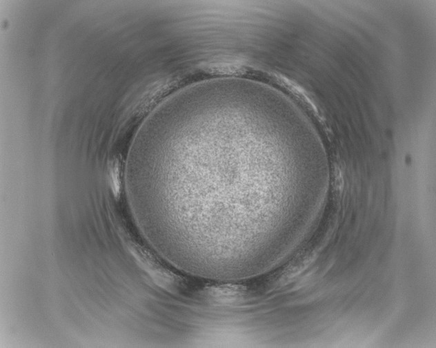 X0000059060069200510171950