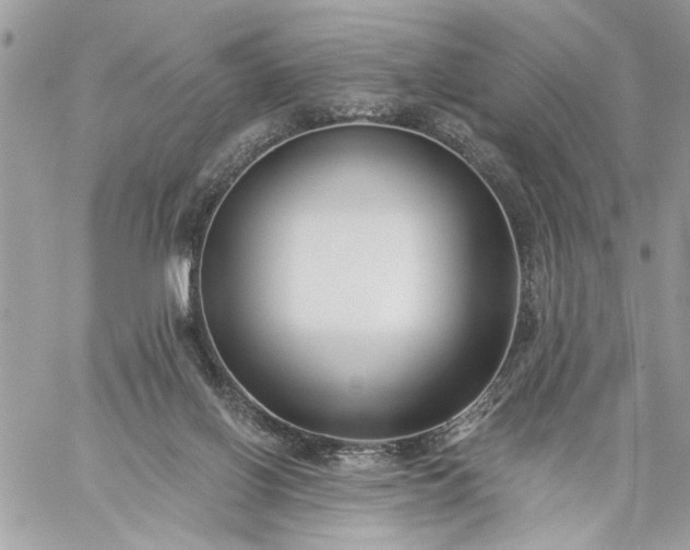 X0000059060070200510171950