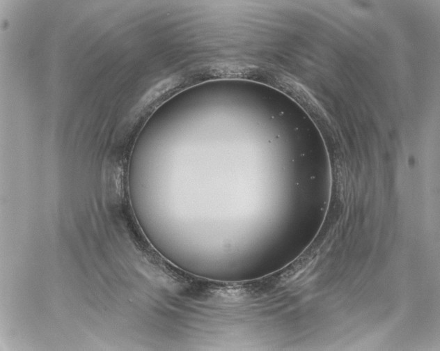 X0000059060071200510171950