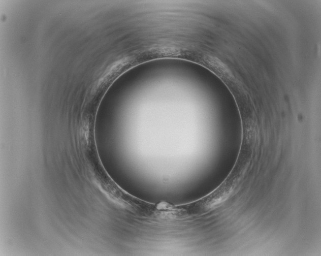 X0000059060072200510171950