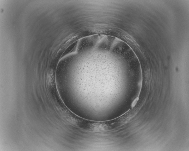 X0000059060073200510171950