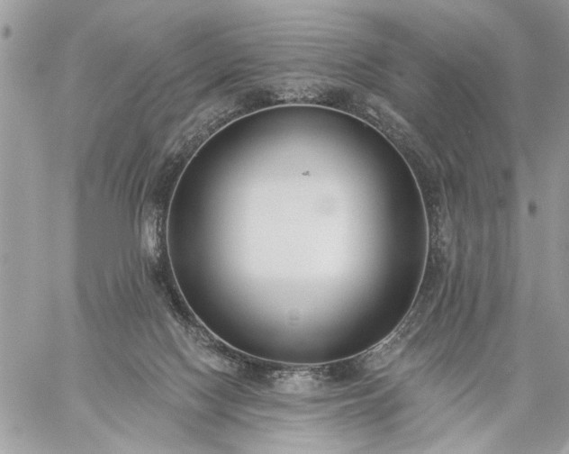 X0000059060074200510171950