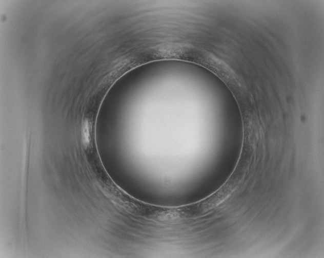 X0000059060075200510171950