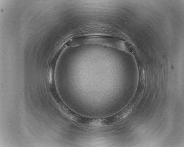 X0000059060076200510171950