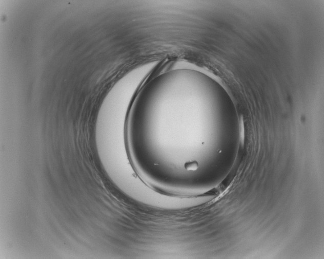 X0000059060078200510171950