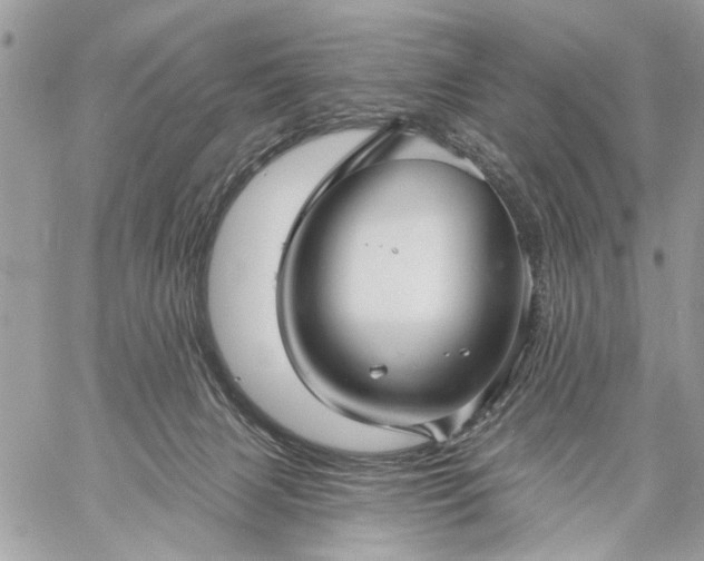 X0000059060079200510171950