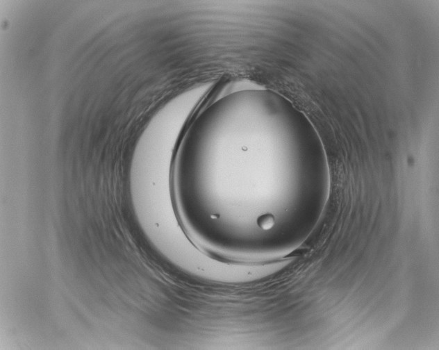 X0000059060080200510171950