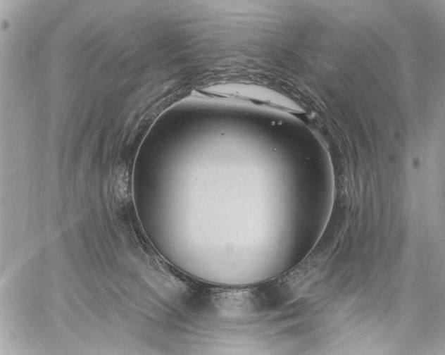 X0000059060081200510171950