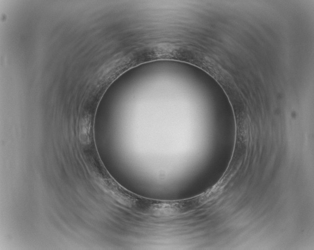 X0000059060082200510171950