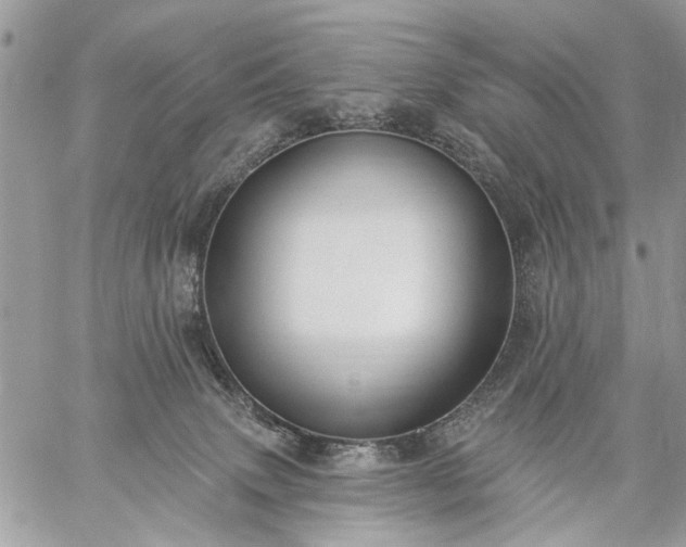 X0000059060083200510171950