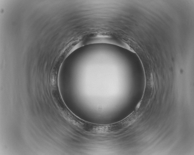 X0000059060084200510171950