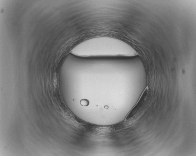 X0000059060085200510171950