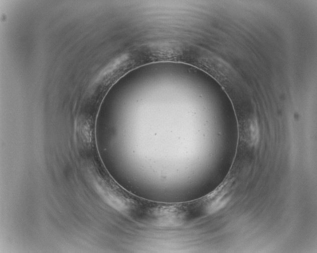 X0000059060086200510171950