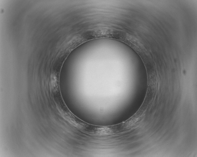 X0000059060087200510171950