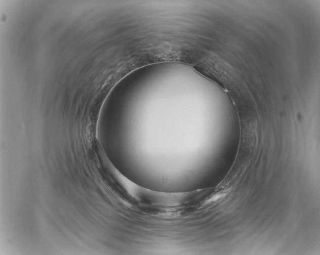 X0000059060088200510171950