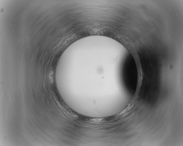 X0000059060090200510171950