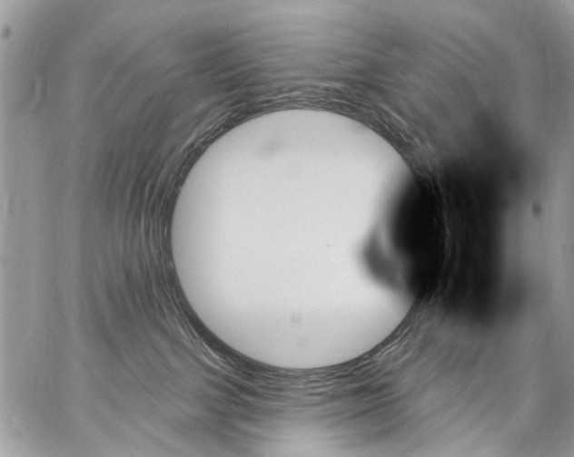 X0000059060091200510171950