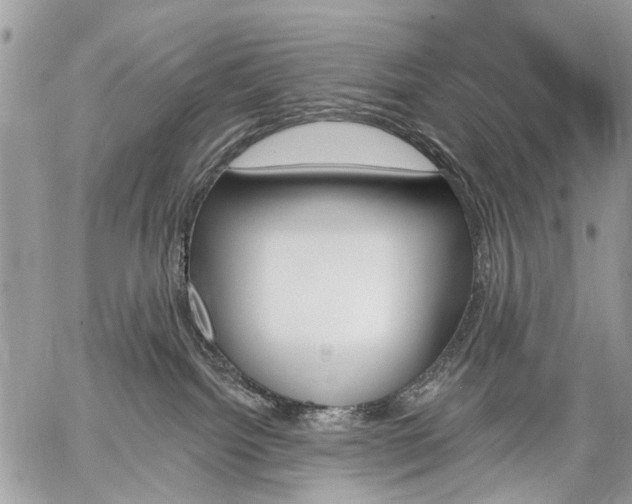 X0000059060092200510171950