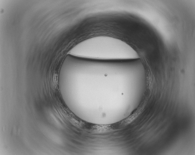 X0000059060093200510171950