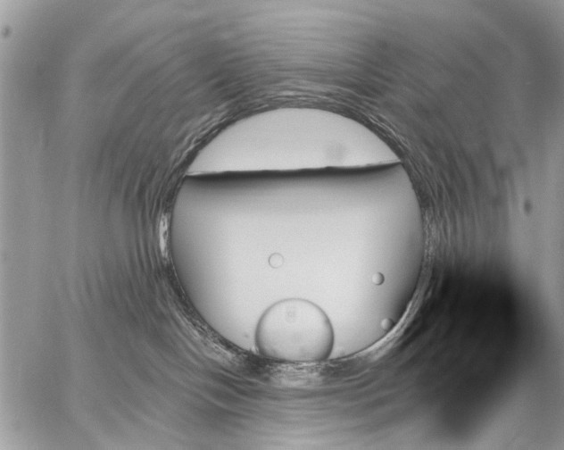 X0000059060094200510171950