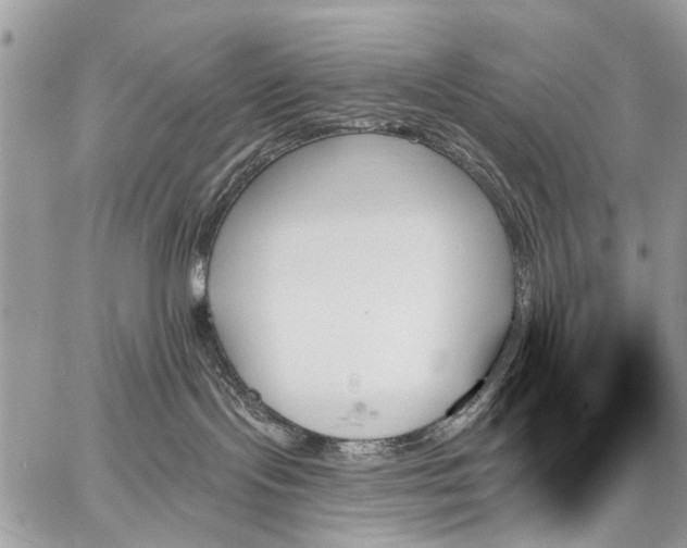 X0000059060095200510171950