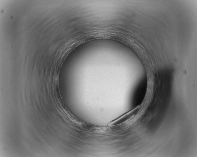 X0000059060096200510171950