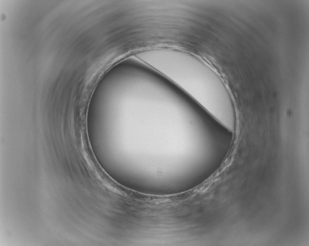 X0000059060097200510171949