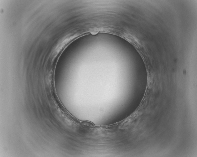 X0000059060098200510171949