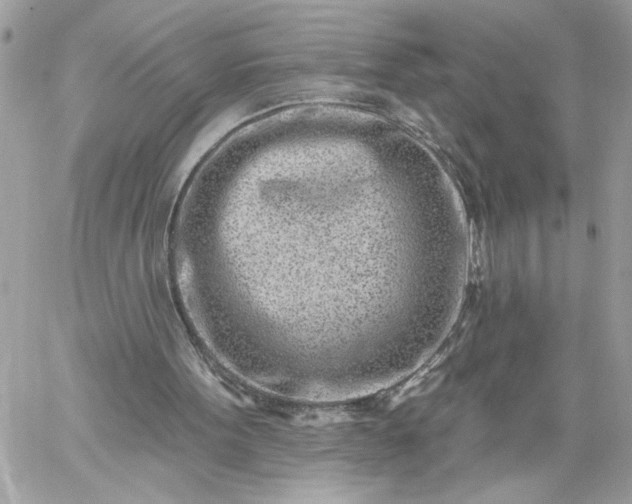 X0000059060099200510171949