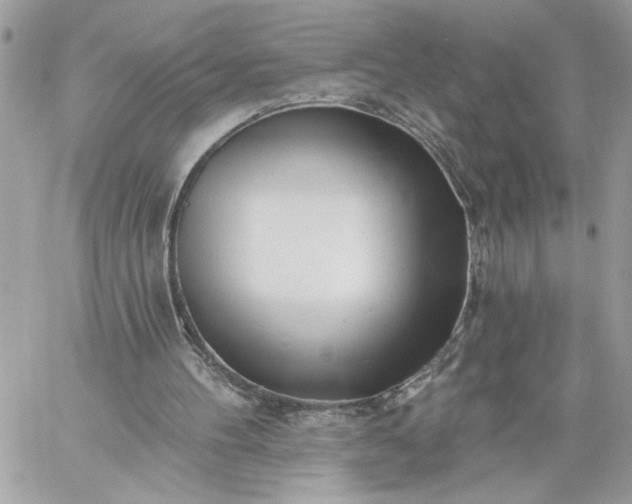 X0000059060100200510171949