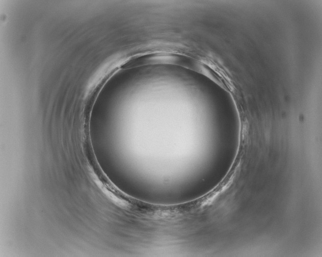 X0000059060101200510171949