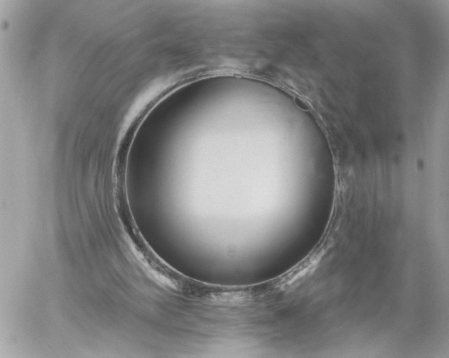 X0000059060102200510171949