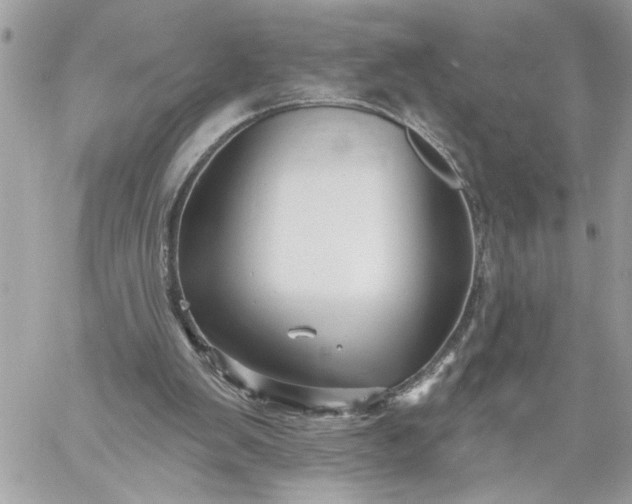 X0000059060103200510171949