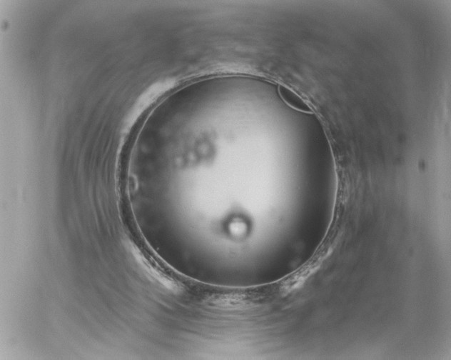 X0000059060104200510171949