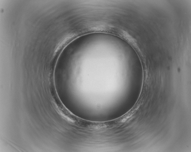 X0000059060106200510171949