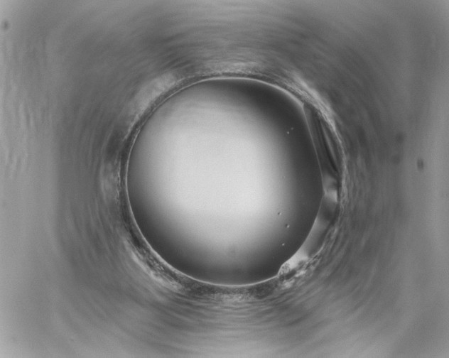 X0000059060107200510171949