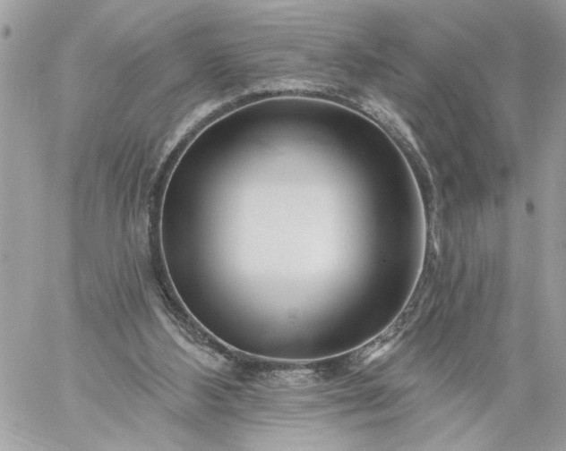 X0000059060108200510171949