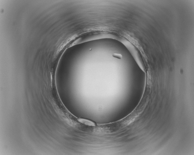 X0000059060109200510171949