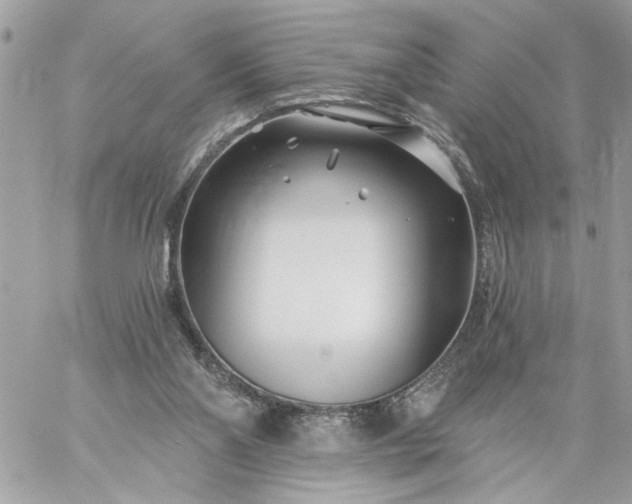 X0000059060110200510171949