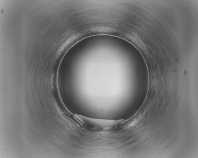 X0000059060111200510171949