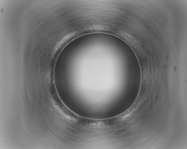 X0000059060112200510171949