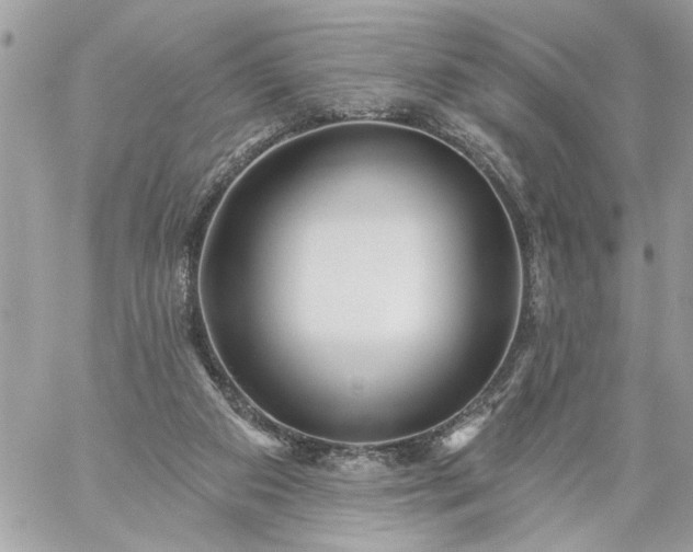 X0000059060113200510171949