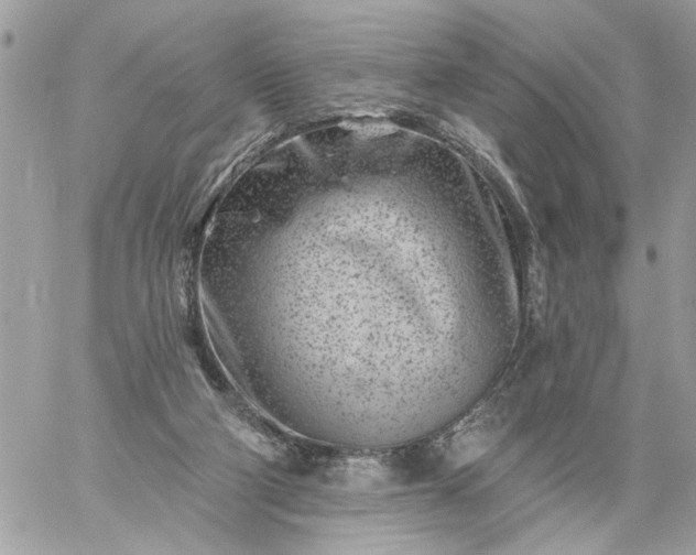 X0000059060114200510171949