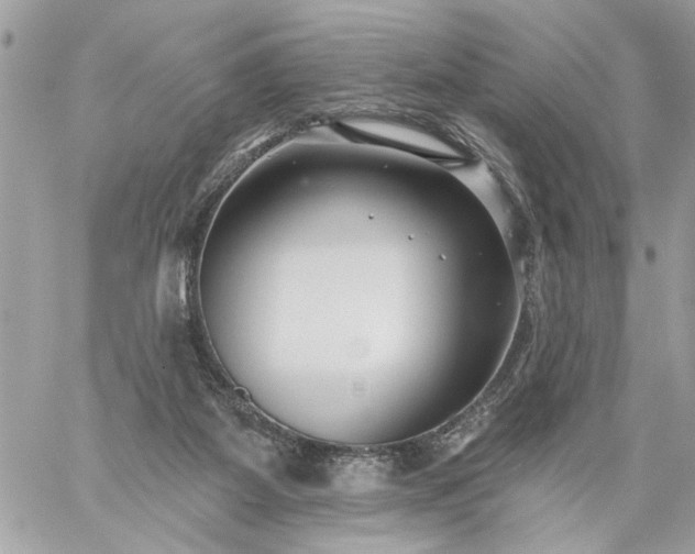 X0000059060115200510171949