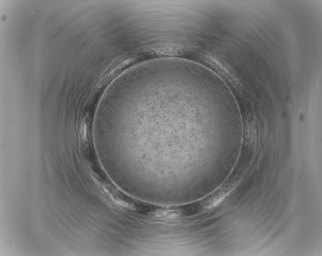 X0000059060117200510171949