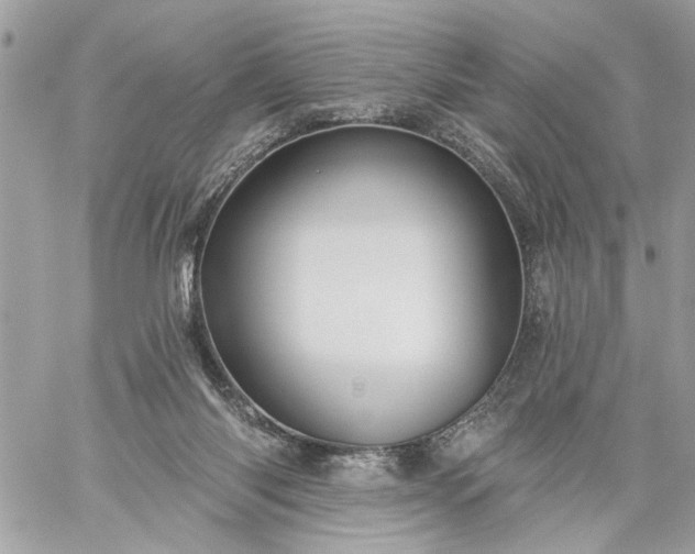 X0000059060118200510171949