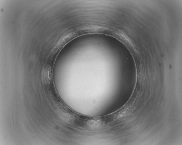 X0000059060119200510171949