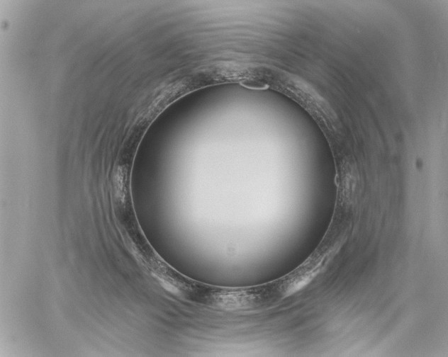 X0000059060121200510171949