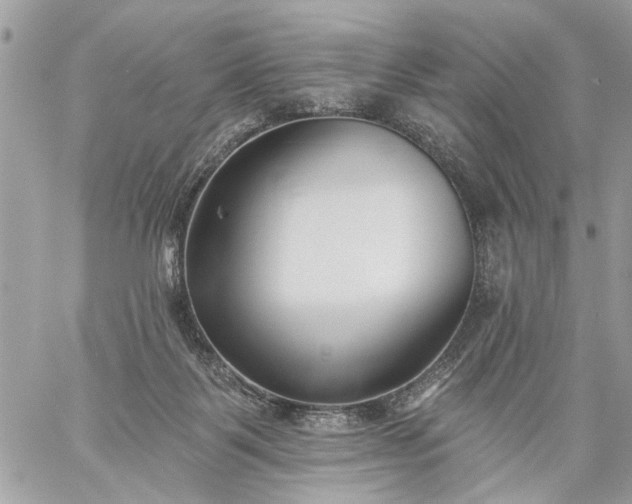 X0000059060123200510171949