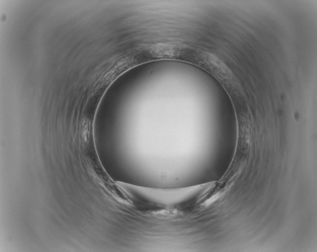 X0000059060125200510171949